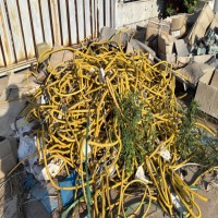 8月7日东明县燃气场站、设施、管网设备等更换的设备设施拍卖项目（第五次）拍卖公告