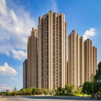 8月14日菏泽市鲁西新区明轩嘉园小区住房拍卖项目（第三次）拍卖公告